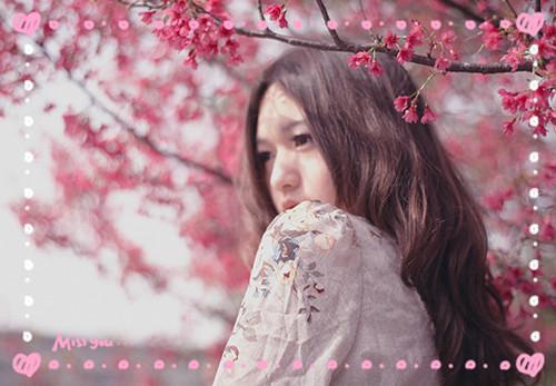 高菘秦晓唯经典小说无广告小说免费阅读 高菘秦晓唯全章节免费阅读