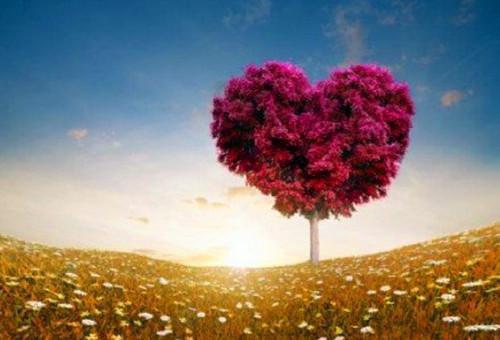 小说（顾一瑾谢苒）_谢苒顾一瑾全文阅读_顾一瑾谢苒免费阅读大结局