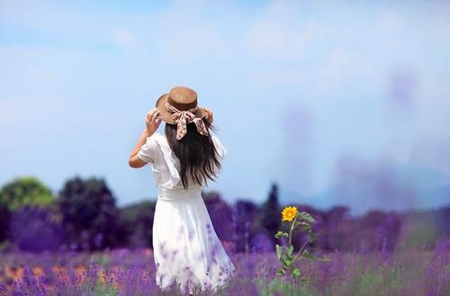 江语林喜王富小说免费试读 江语林喜王富