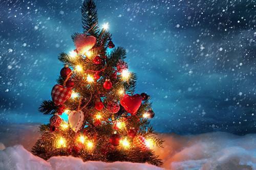 童雅欣姚承启小说的小说免费阅读言情小说《童雅欣姚承启小说》全文 童雅欣姚承启小说的小说免费阅读小说无弹窗阅读（童雅欣姚承启小说的小说免费阅读）