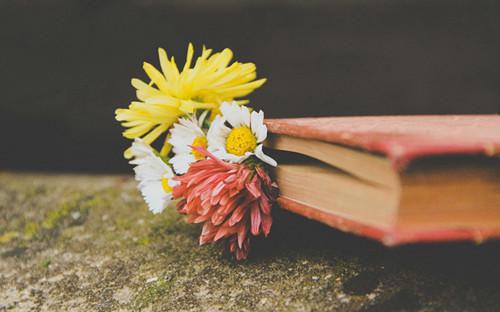 重生后我在侯府杀疯了秋朝蒋舒月谢珉小说在线免费阅读