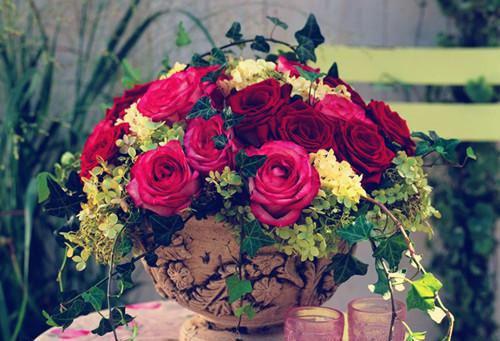 周浩叶可欣免费全本小说 周浩叶可欣章节目录