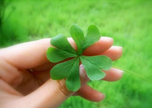 许丞顾廷江菀阮溪第3章 许丞顾廷江菀阮溪小说免费阅读