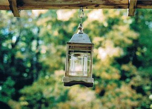 叶羽秦暮雨免费小说 叶羽秦暮雨在线阅读
