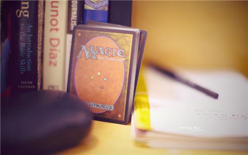 顾辞林华儿的小说 顾辞林华儿全文免费阅读