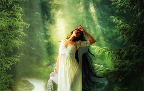 郑云宁贺新泽小说最新章节 郑云宁贺新泽免费阅读