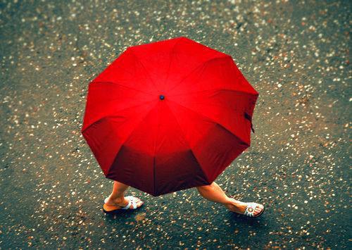 男女主角是宋婉沈朝宋绮的小说 我学乖后皇兄却疯了全文目录