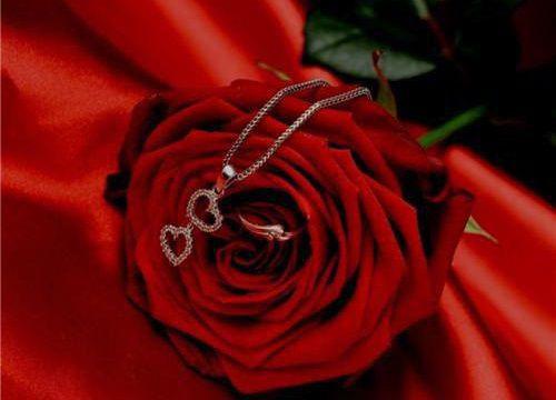 陈奇小雅林洛小说最新章节 婆婆为了让我安心赚钱养家给老公找其他女人传宗接代在线看