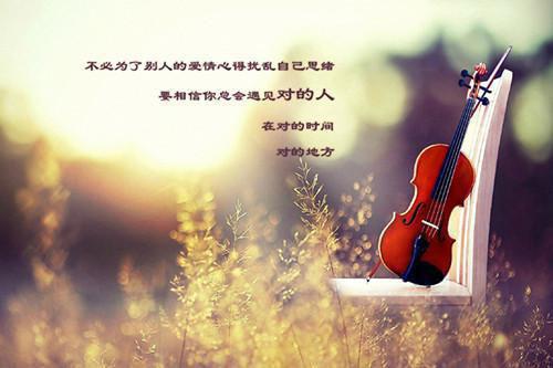 林枫傅雨晴是什么小说 我供男友读书，他却亲手杀了我电子书阅读