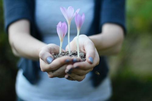 秋怡寻景博宸小说最后结局 秋怡寻景博宸完结版免费阅读