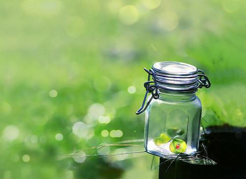 温筱筱谢骁晏免费阅读第四章 温筱筱谢骁晏大结局