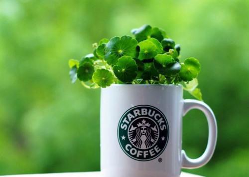 李子晴徐颖陈远洲小说阅读 李子晴徐颖陈远洲全文免费无广告