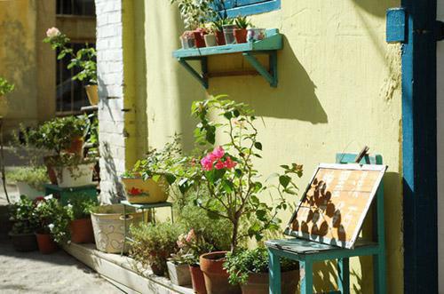 苏明月苏子铭小说全文阅读 苏明月苏子铭第四章