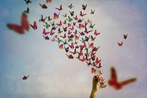 苏文缇陆止戈免费完结版 后妈养崽：太宠啦，老公萌娃黏着她苏文缇陆止戈小说阅读