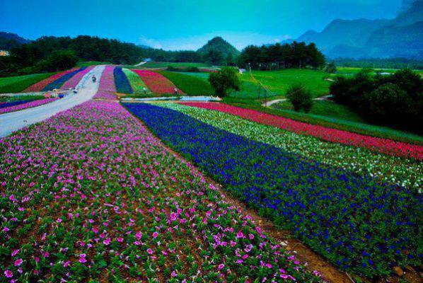 (抖音小说)秦立楚清音小说全文阅读免费