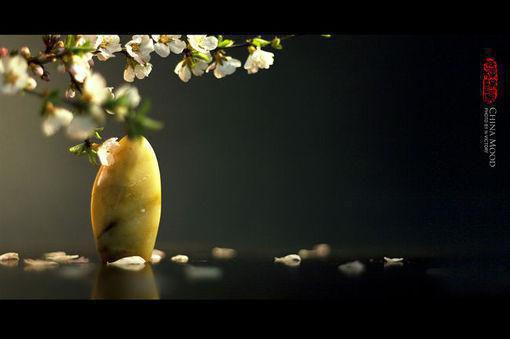 江雪苏城陆宴小说免费 江雪苏城陆宴第五章在线阅读