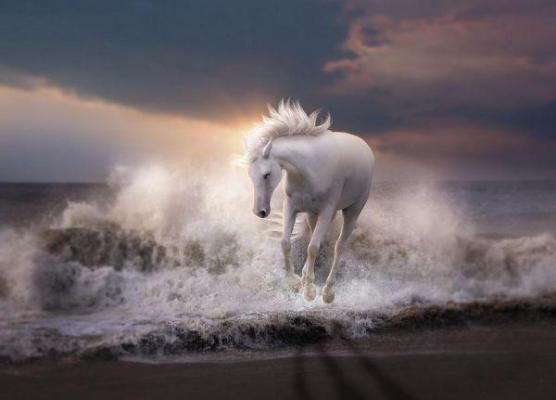 洛湘东方重华免费全文 洛湘东方重华小说在线阅读