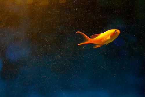 《她被深爱的男人彻底推入无望深渊》章节目录by侠名大结局在线阅读