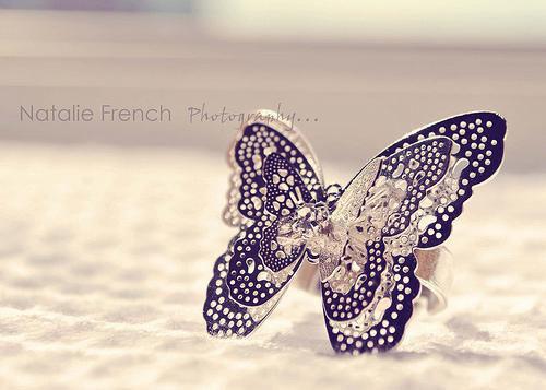 沈青程欢陆羽小说名 重生后我不再喜欢校花了尘安在线阅读