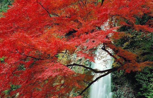 孙冷袁昇袁小雅免费小说 孙冷袁昇袁小雅全文阅读目录