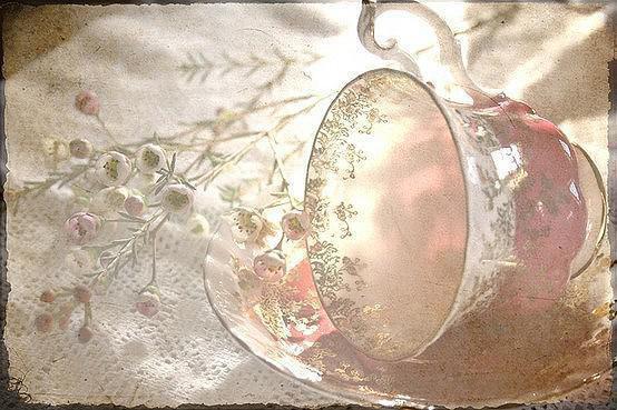 陆林风苏纭纭秦欢夏素素免费阅读第4章 陆林风苏纭纭秦欢夏素素大结局