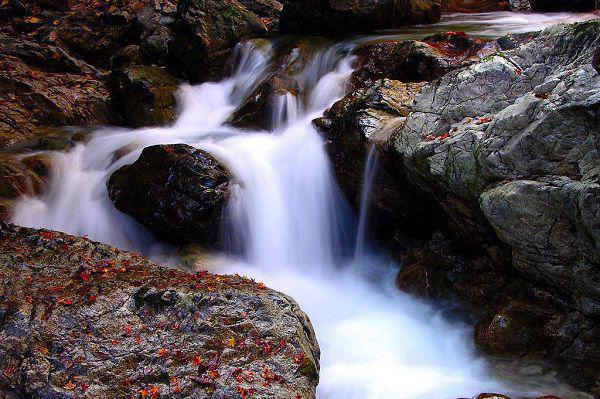 千金填房若水(千金填房若水)小说全文小说免费阅读_千金填房若水最新章节列表