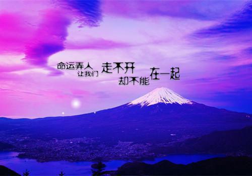 我送家暴丈夫铁窗泪免费阅读 姚季同冯玉华小说无弹窗