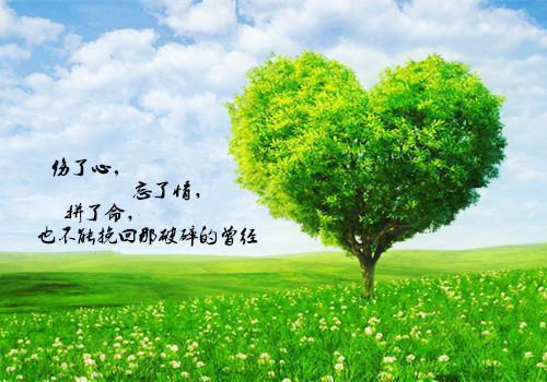 俞佳知韩佳哲完整版 俞佳知韩佳哲小说全文在线阅读