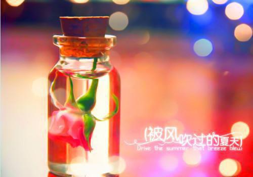 重生后打脸虚伪学霸一坨肉肉全本小说 宋诗郭秀小说结局