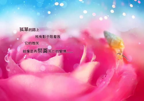 两界穿越，我靠倒卖赚大钱朱棣朱猷烨小说免费试读