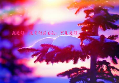 主角贺函沈佳怡小说免费阅读最新章节