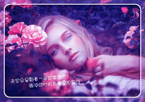 夫君的男宠爱上我全文免费阅读 清清顾盛泽季融月精彩章节未删减版