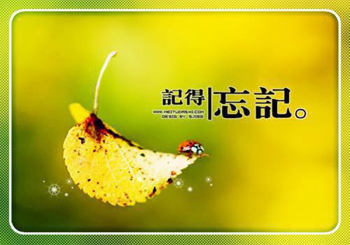 交白卷的女儿(相妤)小说最新章节