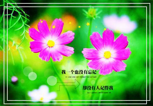 岑静姝傅新韩免费阅读第二章 岑静姝傅新韩大结局