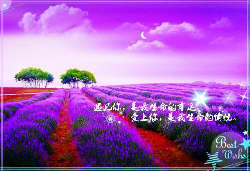 主角名是林国盛苏泠全文免费阅读正版