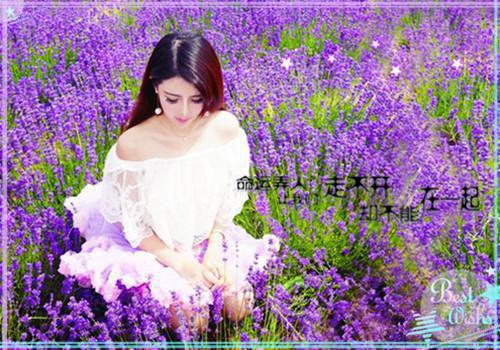 苏玉娘陆循是什么小说的主人公 苏玉娘陆循免费阅读