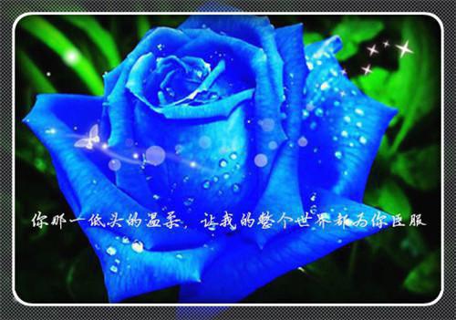 意外捡到的小孩居然是霸总“我的存款都给你,你不要有别人。”在线阅读 沈俊沈承齐辉小说