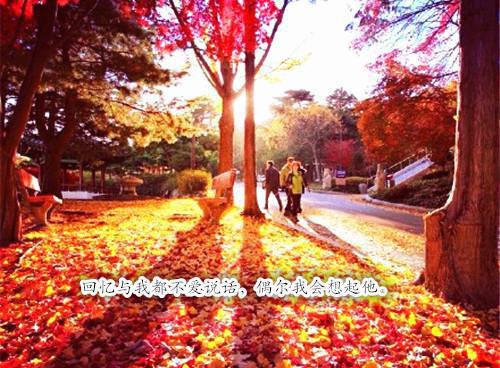 小姑子用肺炎害死我的龙凤胎孩子在线阅读全文 沈知意婷婷小说无弹窗