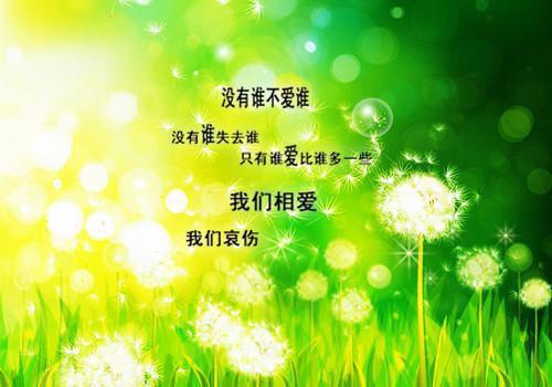 苏白杨伟小说在线阅读 苏白杨伟最新章节目录