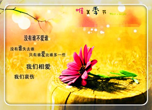 男女主角是沈安然江禾程妄的小说 未婚妻的白月光回国，未婚妻主动赴约只为不让他留下遗憾全文阅读