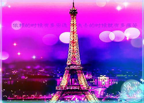 失忆后，前夫哥跪在我面前求原谅夏颜孙宁宁江岑完整版小说免费阅读