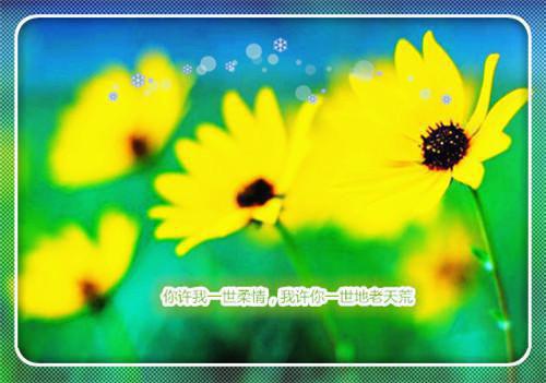 《陆北舒姝》穿成假千金后我被黑化反派缠上了（热推新书）-抖音热推穿成假千金后我被黑化反派缠上了无弹窗阅读