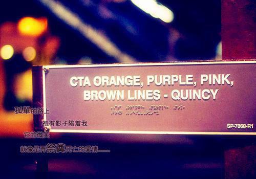 沈安然江禾程妄免费全本小说 沈安然江禾程妄章节目录