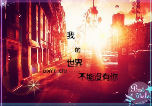 莺儿林尘免费阅读无弹窗 莺儿林尘最新章节