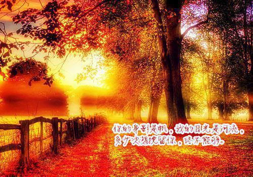 许静瑶瑶主角小说叫什么 闺蜜借我车害死我,重生后我杀疯了免费阅读全文