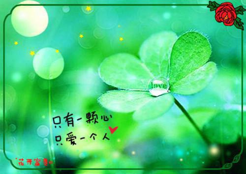 备战副本宋笑笑梁诡章节目录免费看