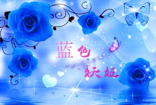 顾诗意顾诗情免费阅读小说 顾诗意顾诗情第四章