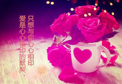 苏哲易瑶小说章节免费阅读 苏哲易瑶无弹窗