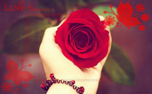 我在娱乐圈当神婆许丞顾廷江菀阮溪小说在线阅读