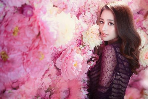 (完整版)司砚小说免费阅读无广告